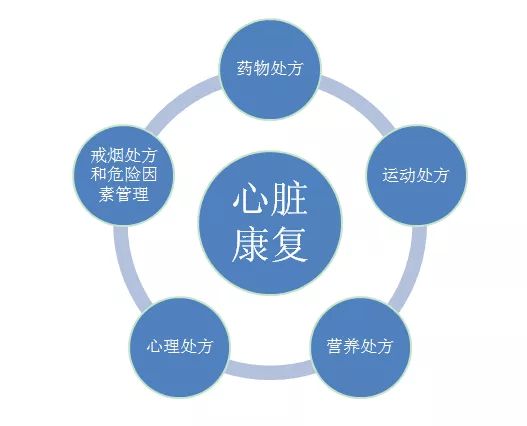 世界物理治療日 | 心臟支架或搭橋術后，科學運動是康復關鍵